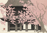 春の鎌倉　光明寺