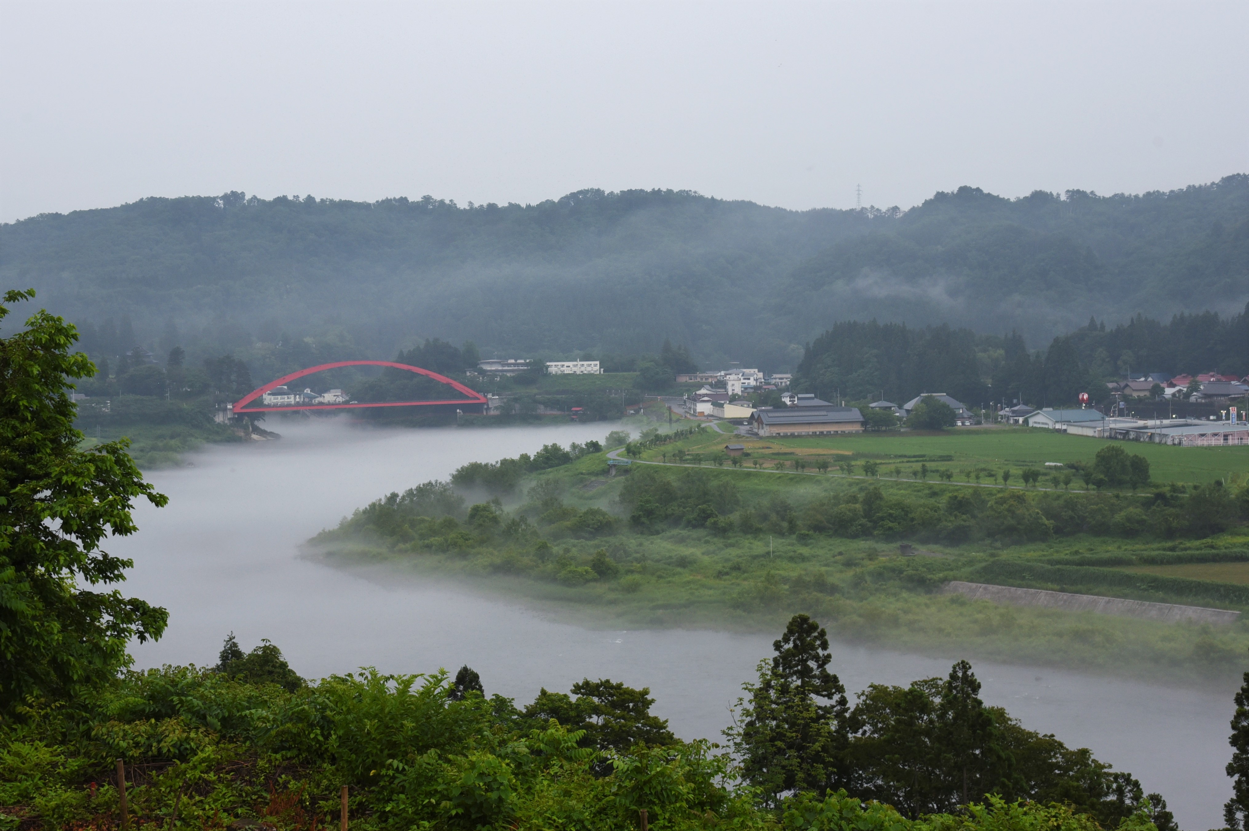 川霧の画像