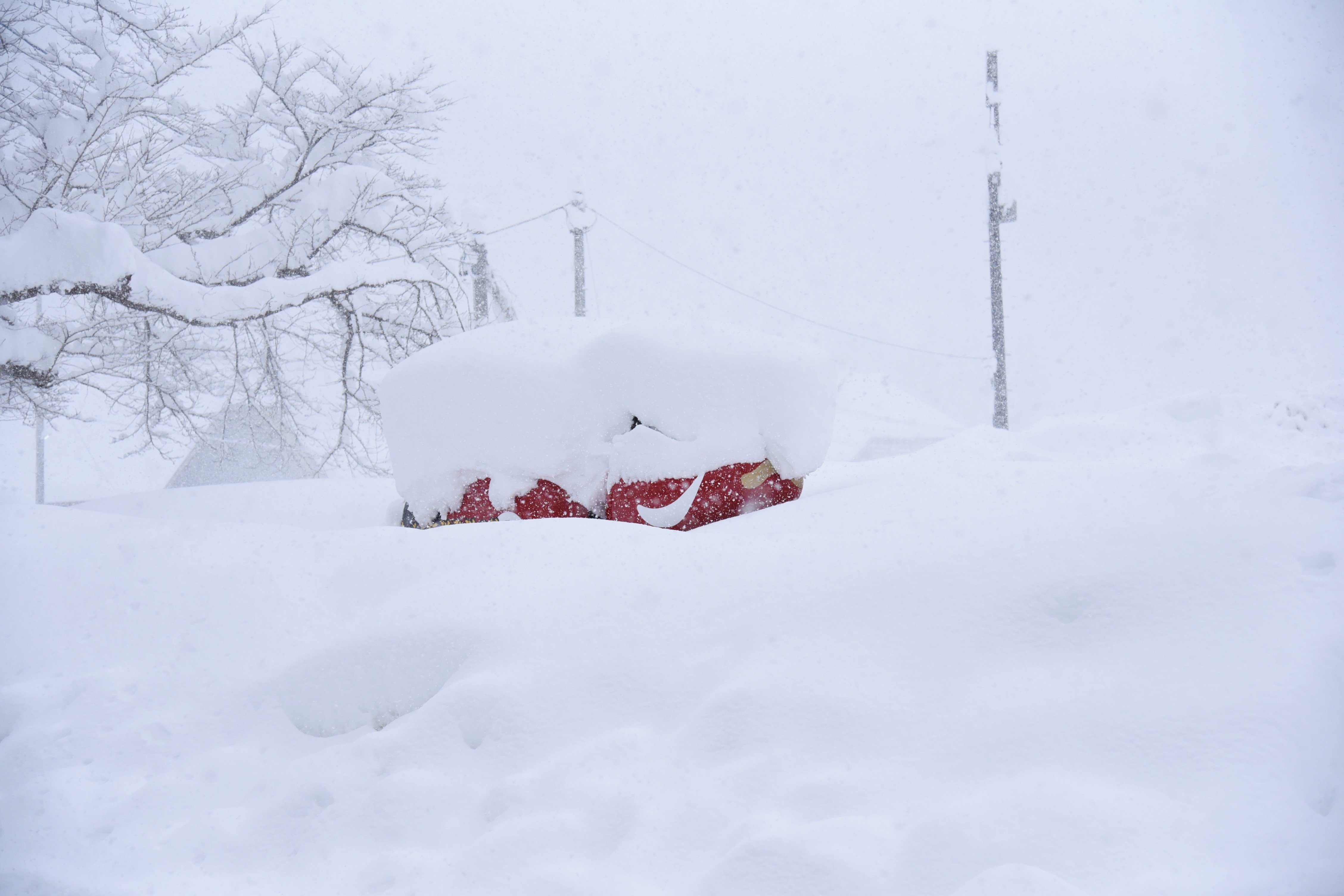 雪で埋まる赤べこの写真