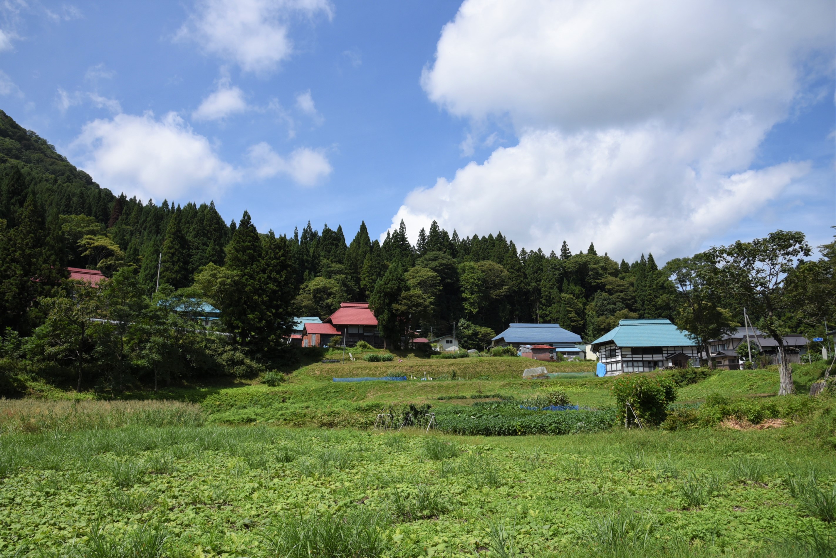 高森地区の画像