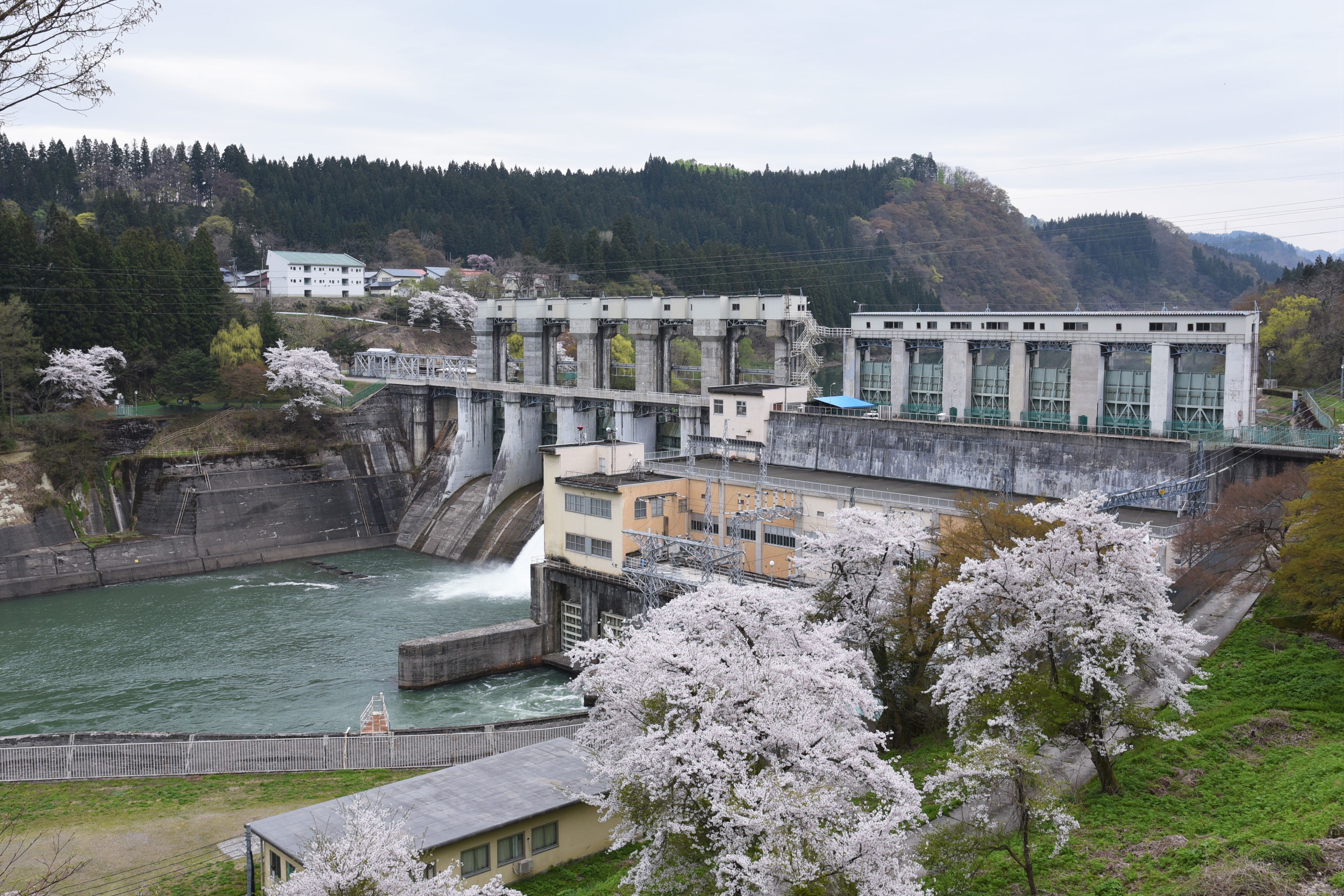 柳津発電所　ダムの画像